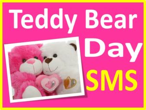Teddy Bear Day 2016 SMS in Hindi upcharnuskhe