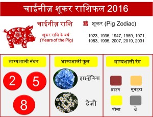 12 Pig zodiac upcharnuskhe 2016