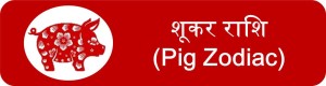 12 Pig zodiac upcharnuskhe