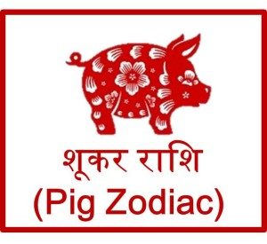चाइनीज़ शूकर राशिफल 2016 Pig Prediction Horoscope upcharnuskhe