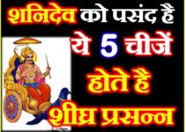 शनिदेव की 5 प्रिय चीजें शीघ्र होते है प्रसन्न Shani Dev likes these 5 Things Astrology