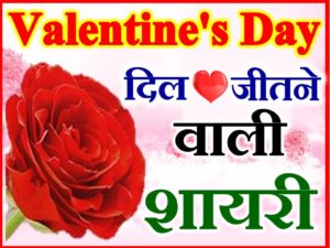 वैलेंटाइन डे शायरी 2020 Valentine Day Week Status Shayari 2020 