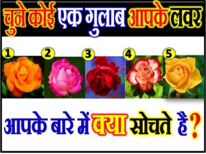 Love Quiz Game by Favourite Rose