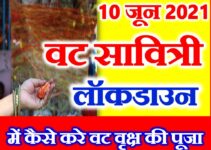 वट सावित्री व्रत लॉकडाउन में कैसे करे पूजा Vat Savitri Vrat 2021 Puja Vidhi