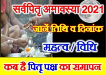 Sarva Pitru Amavasya 2021 Date जानिए कब है पितृ पक्ष श्राद्ध पक्ष का समापन