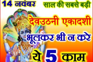 देवउठनी एकादशी के दिन ना करे ये 5 काम Dev Uthani Ekadashi Niyam