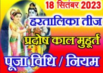 हरतालिका तीज पूजा विधि नियम Hartalika Teej 2023 Puja Vidhi