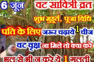 वट सावित्री व्रत 2024 पूजा विधि Vat Savitri Vrat 2024 Kya Kare Kya Na Kare  