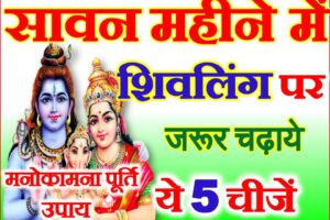 सावन में शिवजी को क्या चढ़ाये | Sawan Shiv Puja Vidhi 2024
