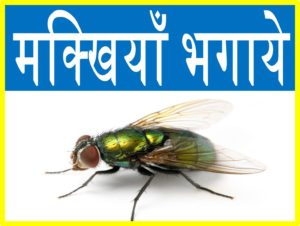 मक्खियों को भगाने तथा निजात पाने के टिप्स घरेलु उपचार upcharnuskhe