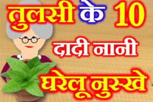 तुलसी के 10 घरेलु उपाय 10 Home Remedies of Basil Leaf