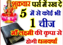 शुक्रवार पर्स में रखे 1 चीज होगी धनवर्षा Keep These Things In Your Purse For Money
