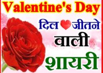 वैलेंटाइन डे शायरी 2020 Valentine Day Status Shayari 2020