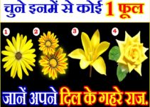 Personality Test Pick One Flower चुने कोई 1 फूल और अपने दिल के गहरे राज