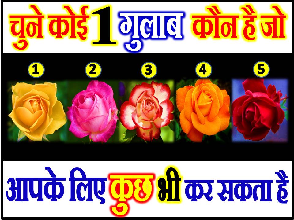 चुने एक गुलाब कौन है जो आपके लिए कुछ भी कर सकता है Rose Love Quiz Game