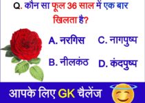GK Question Answer Current Affairs GK Quiz सामान्य ज्ञान के प्रश्न उत्तर