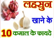 लहसुन खाने के फायदे Health Benefits of Eating Garlic