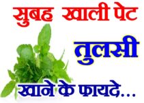 तुलसी खाने के फायदे Health Benefits of Eating Basil Leaves